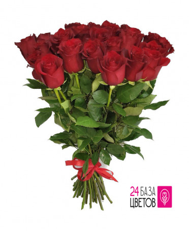 Роза красная от 11 шт. (Эквадор)