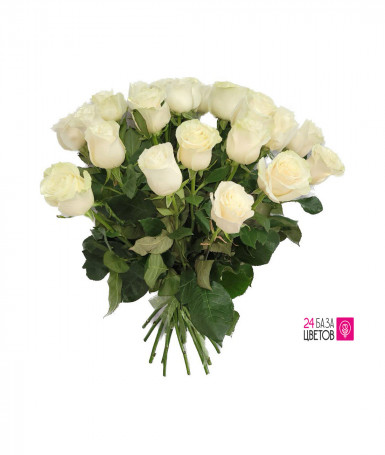 Роза белая от 11 шт. (Эквадор)